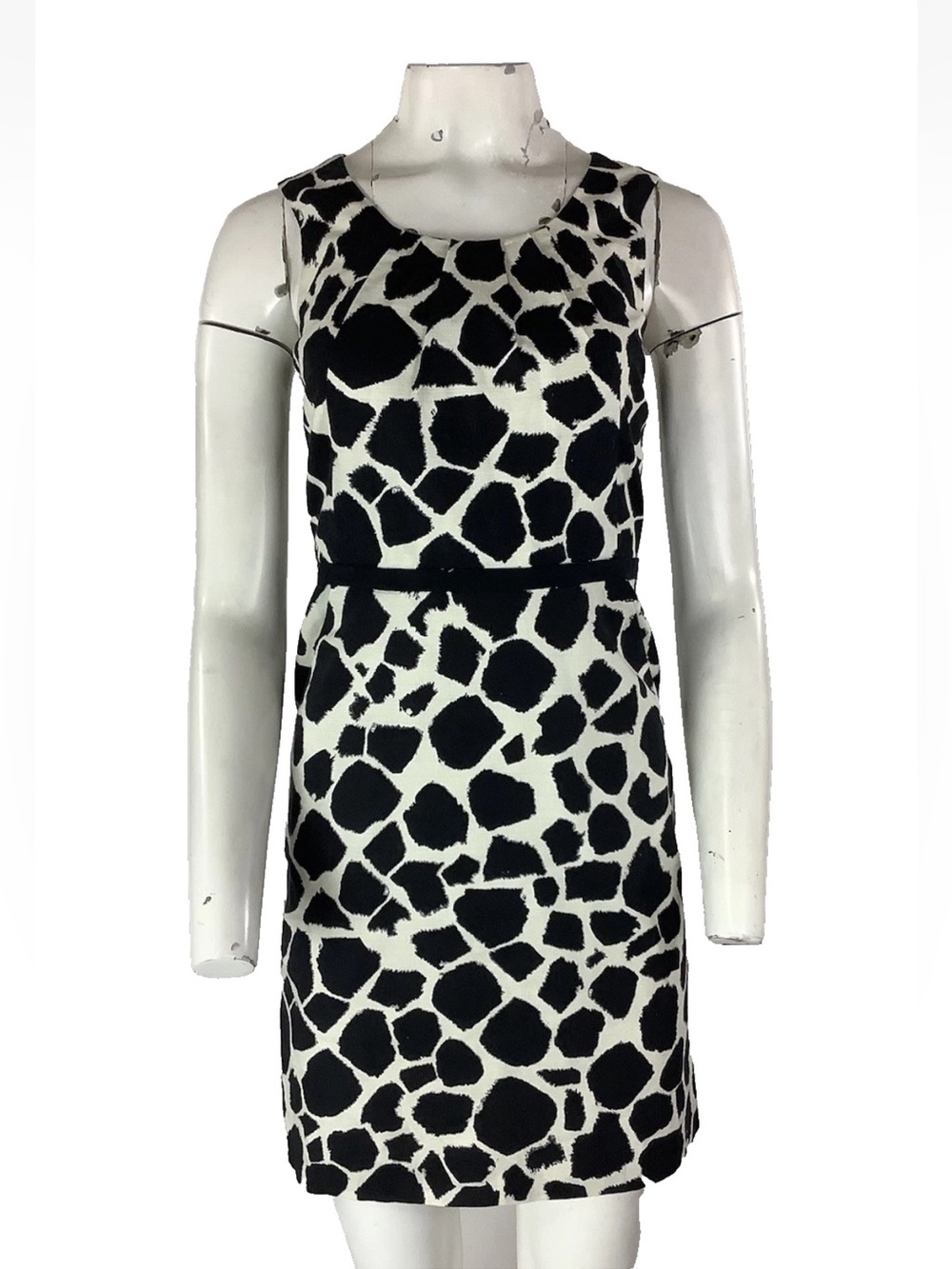 Loft Sz 0 100% Cotton Giraffe Animal Print Business Casual Cocktail Dress